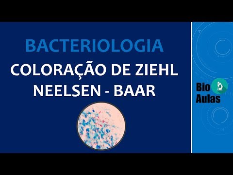 Vídeo: Diferença Entre Bactérias ácido-resistentes E Não ácido-resistentes