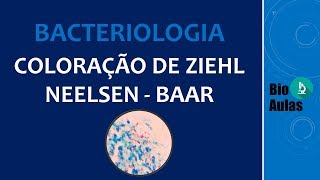 Coloração de Ziehl Neelsen: Baciloscopia (Microbiologia) - Bio Aulas