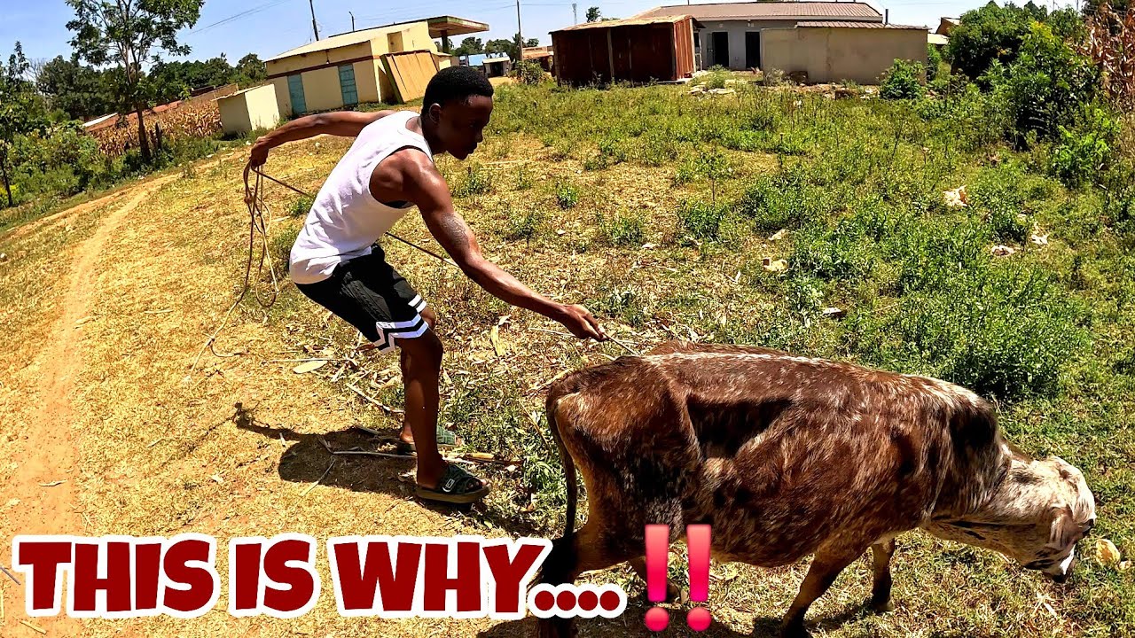 НАКОНЕЦ-ТО Я ОТКРЫВАЮСЬ‼️....ПРАВИЛЬНО ЛИ ЭТО??/КУЛЬТУРНЫЕ РАЗЛИЧИЯ.