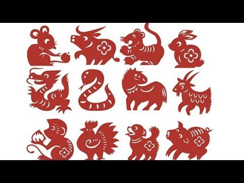 Video: ¿Qué animal chino soy yo si nací en 1951?