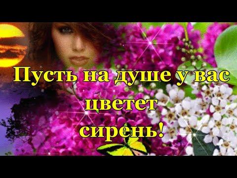 Пусть на душе у вас цветет сирень в любое время года! ✔