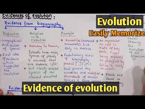 evolution class 12