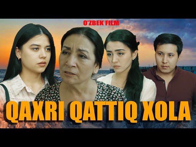 Pishgan mushuklarning fotosuratlari Pussy barda miltillaydi