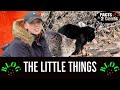 The Little Things -Olive and Her Kitties