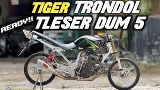 READY TIGER TRONDOL (TLESERDUM5) SIAP BUAT RAMADHAN  RACE MU SAM🏁