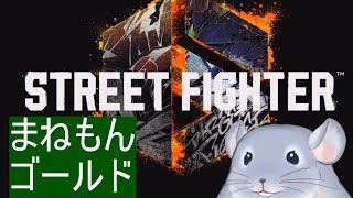 【ストリートファイター6】ゴールド帯のまねもん先生とひたすら拳（足）を交える着ぐるみチンチラ/Fade【新人Vtuber】