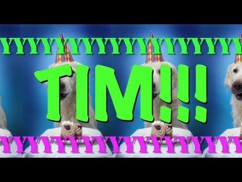 happy-birthday-tim!---epic-happy-birthday-song