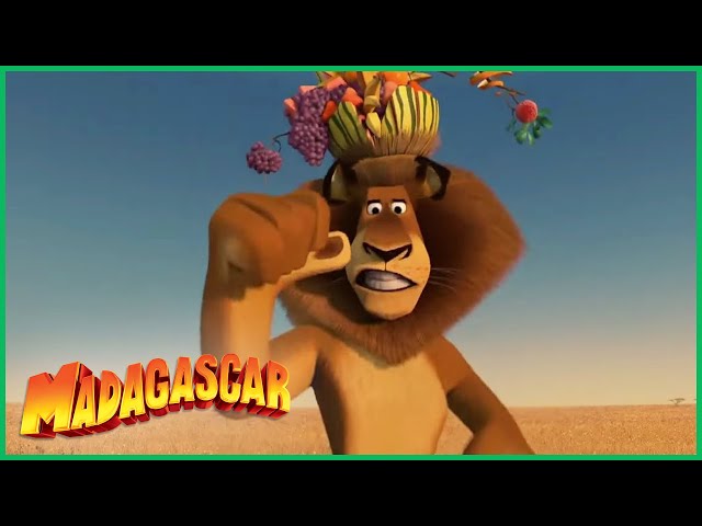 Personagens e pessoas que eu amo. - A apresentação de Moto Moto -  Madagascar 2(2008)