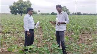 Uses To Cotton Crops And Paddy.