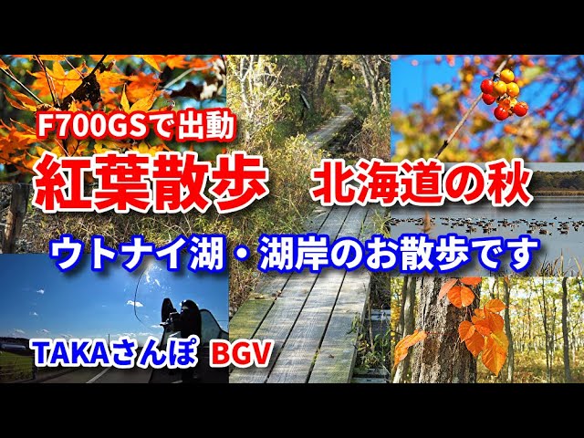 秋の散歩道 秋の散歩道の写真・画像素材-Snapmart（スナップマート）