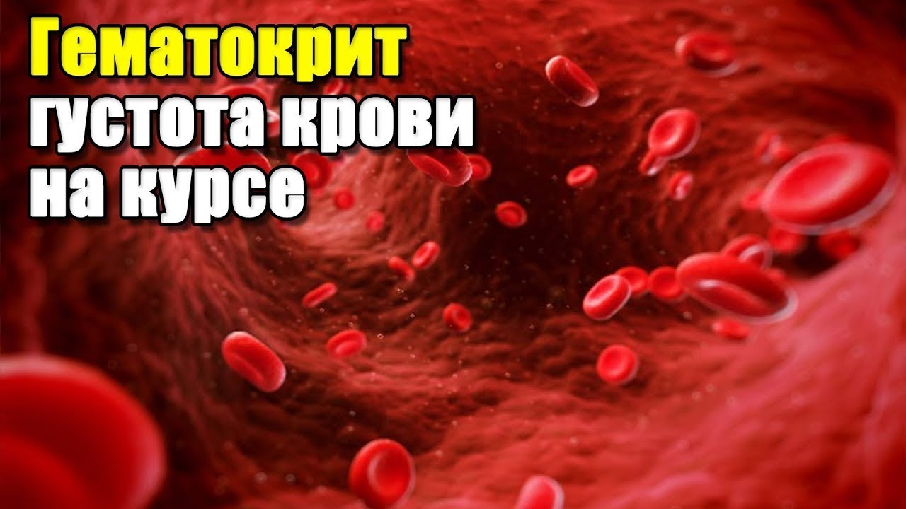 оценка гематокрита в крови у женщин. гематокрит стероиды. Biochemical blood count. пробирки для определения гематокрита. гематокрит стероиды.