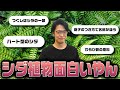 【動画あり】#51 「気づけることが多い人生の方が良い」