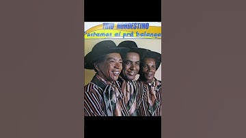 Thumbnail of Trio Nordestino - Proibido cochilar