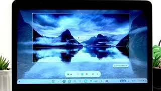 Wie mache ich einen Screenshot auf dem DELL Chromebook 3400?