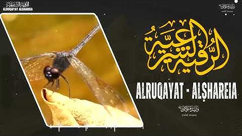 الرقية الشرعية للشفاء والطمأنينة الروحية | Ruqyah Shariah for Healing and Spiritual Serenity