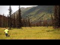 Exploring Beautiful Alaska | Harvesting Wild Edibles