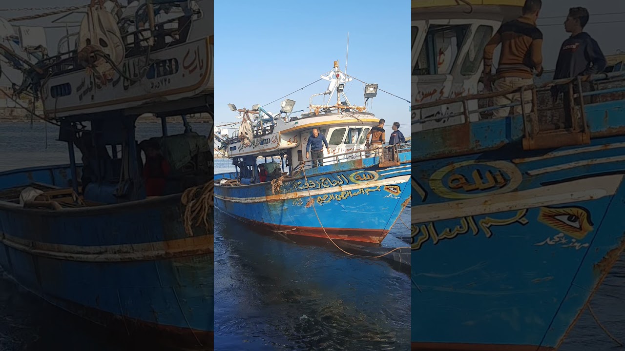 مركب صيد للبيع