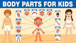 子どものための体の部位 || 楽しく学ぼう：私の体 || 体の部位について学ぶ screenshot 4