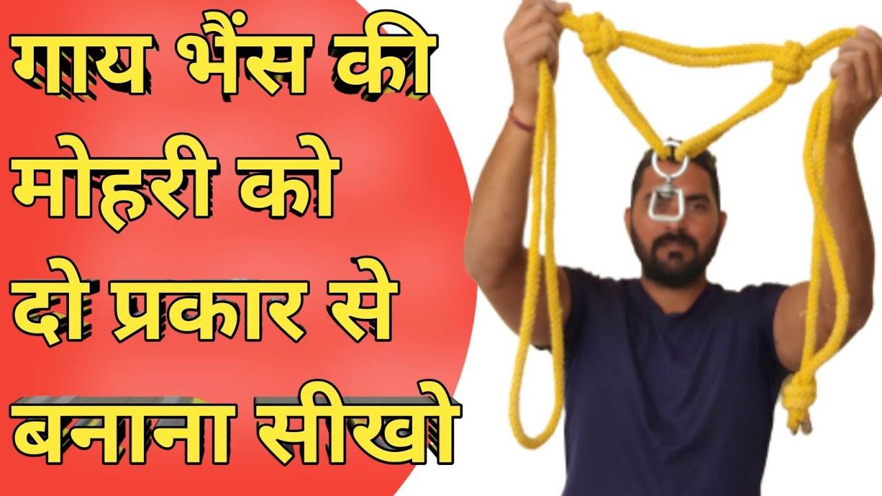 गाय भैंस की भोरकली वाली मोहरी बनाना सीखो | भोरकली मोहरी बनाने का नया तरीका | cow Mohri | cow halter