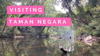 Exploring Taman Negara, Malaysia - What You Can See And Do In Two Days
