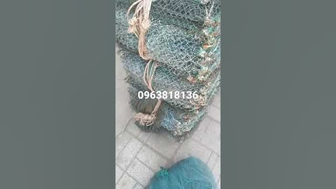 lú củ. lộp củ. 12 cửa ngục. dầy thưa đủ loại. đặt ếch. bắt tôm. bắt cua. cá đồng..0963818136