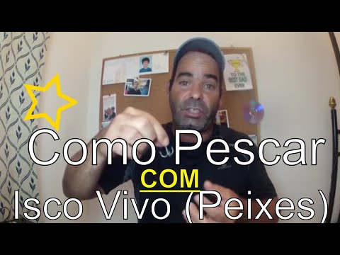 Vídeo: Como Pegar Peixes Predadores