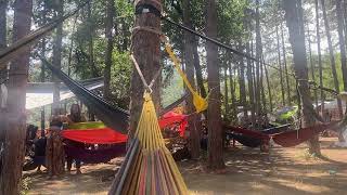 Γεια σας από το wake up festival 