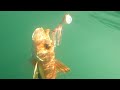 How To Use The Sunakku Slow Jig Slider Kabura Black Magic Tackles NZ Basic Fishing Tutorials How To Use The Sunakku Slow Jig Slider Kabura Black Magic Tackles NZ Basic Fishing Tutorials