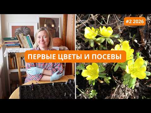 The snow melted very quickly! The first flowers of spring, crops, and losses / Vlog #2