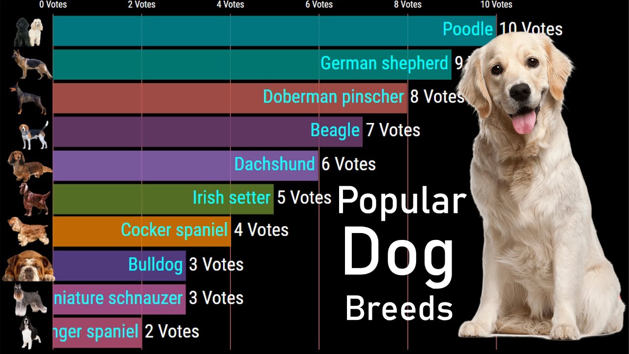most popular dog breeds by year
