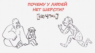 Почему у людей нет шерсти? - Научпок