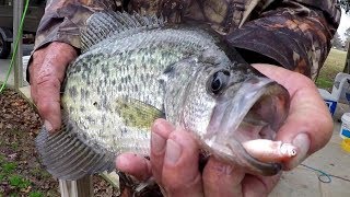 Crappie Fishing With A Bobber and Live Minnows