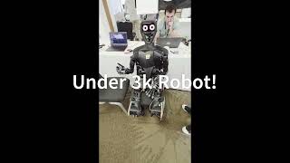 2025 Humanoid Summit - cutting Edge robotics