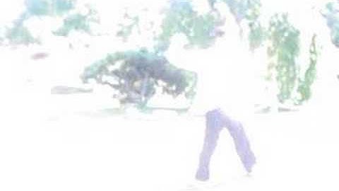 Chen Shi Tai Chi Part 2