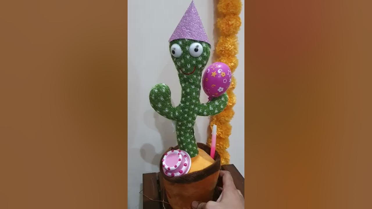 Happy Birthday Dancing Cactus 🌵
