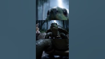 Câu chuyện rùa và thỏ #thỏ #rùa #truyệncotich #kid #giai