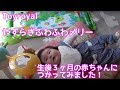 【癒される！？】Toyroyal　やすらぎふわふわメリーを３ヶ月児に使ってみました