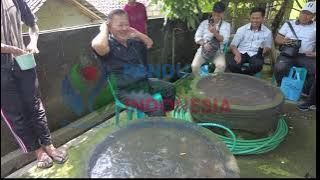 Prof.,Dr. Gembong memberikan edukasi bagaimana cara budidaya ternak lele  tidak berbau