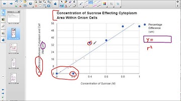 Criterion C Lab Reports & Exemplar