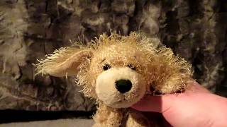 Thesuperdog2019 Trailer