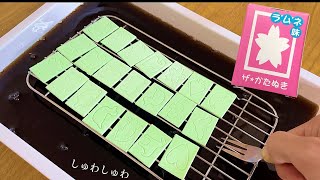 ザ☆かたぬきをコーラに漬けて型抜き!!【イカゲーム】　PDS