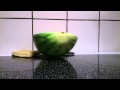 Waffle falling off of a spinning watermelon
