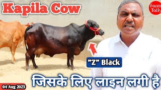 Z Black Kapila ?ऐसी गाय जहां मिले तुरंत ले लेना ? 6 Sahiwal Cow दुर्लभ श्याम कपिला के साथ ?Farm Talk