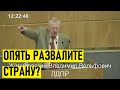 ЖИРИНОВСКИЙ РВЕТ И МЕЧЕТ! Лидер ЛДПР о Турции,чиновниках,власти и экономике