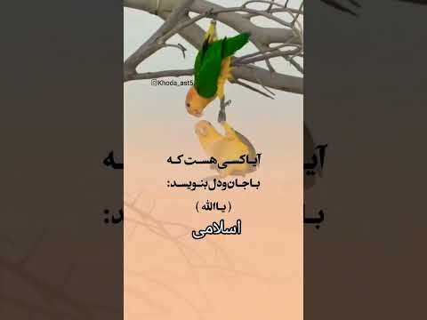 آیا کسی هست که از ته دل بگه یا الله یاالله ذکر الهی اسلامی دینی ویدیو معنوی 