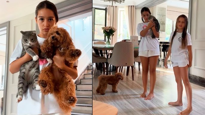 Орысша аудармасы бар итальяндық порно фильмдер