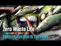 Zako: Trash Fish is Treasure - Zero Waste Life