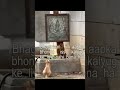 #meowandmore #viral switch me in त्रेतायुग
