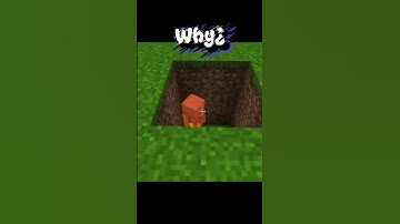 Minecraft logic like be..........😂🔥#shorts #minecraft