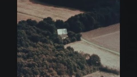 News Item (083280b3-ab14-1cb7-fb71-ef0f36668e26)